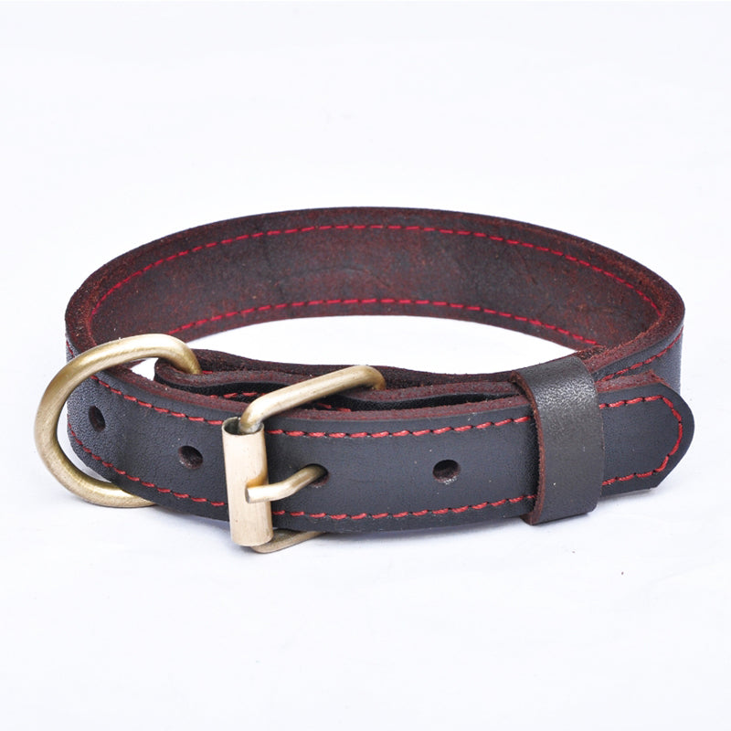 Premium Genuine Leather Dog Collar Red Stitching Brass Buckle M L