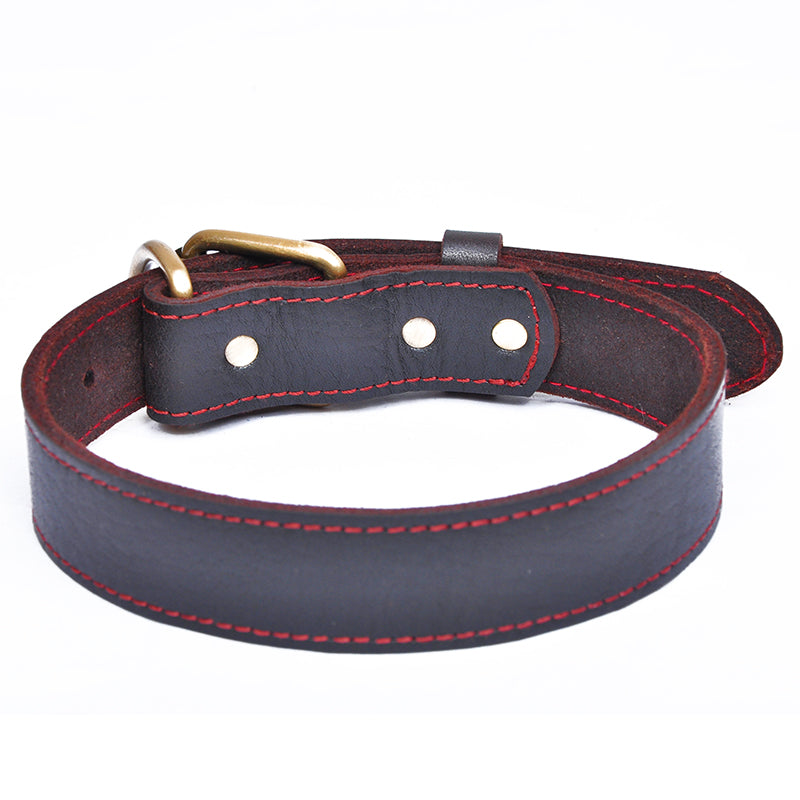Premium Genuine Leather Dog Collar Red Stitching Brass Buckle M L