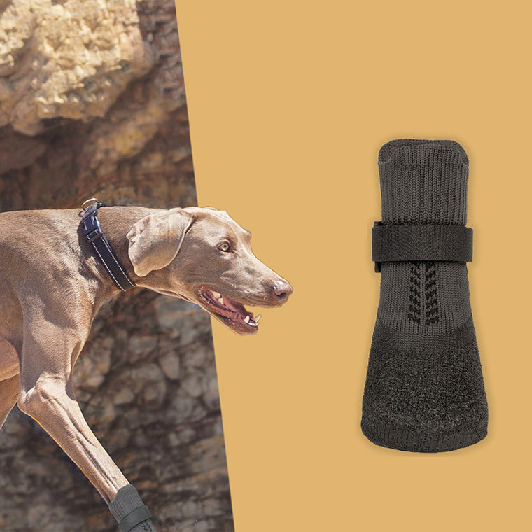 Medium Large Breed Pet Dog Shoe Socks Non-slip Latex Base Black
