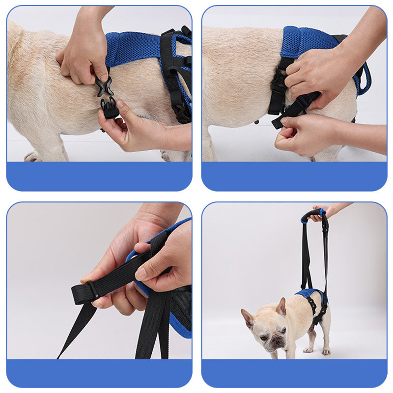 Dog Rear Support Harness Lift Aid for Senior Dogs Hind Leg Mobility