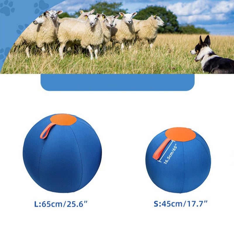 Inflatable Dog Training Ball Large Durable Pet Exercise & Herding Ball