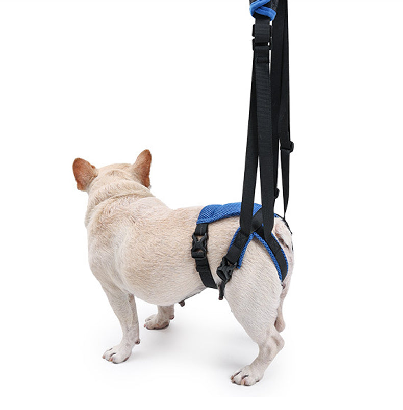 Dog Rear Support Harness Lift Aid for Senior Dogs Hind Leg Mobility