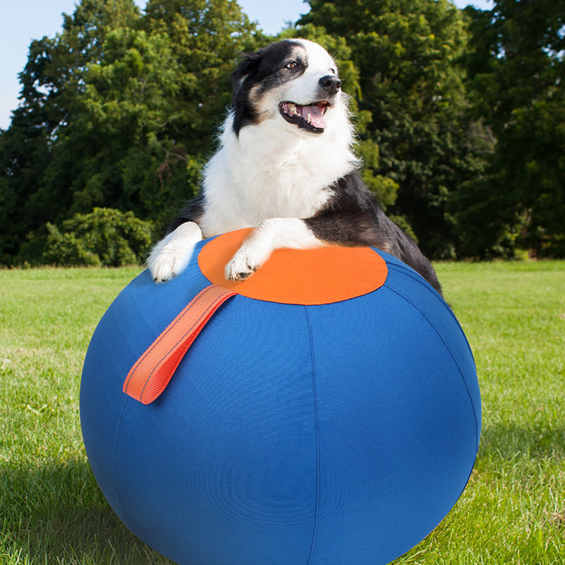Inflatable Dog Training Ball Large Durable Pet Exercise & Herding Ball