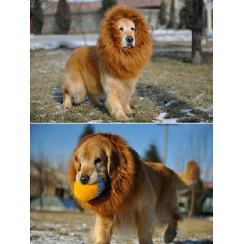 Large breed dog HALLOWEEN Festival Party Costume Lion Mane Wig in 4 colours