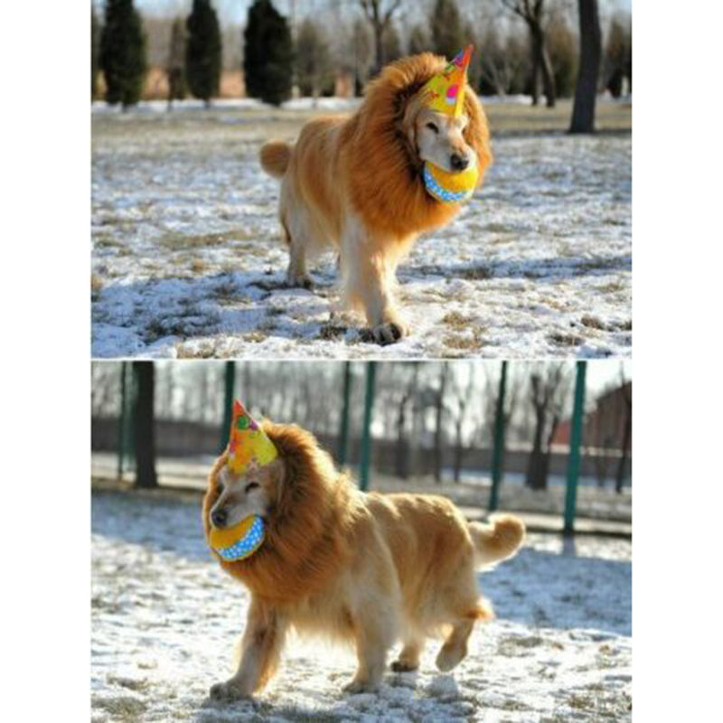 Large breed dog HALLOWEEN Festival Party Costume Lion Mane Wig in 4 colours