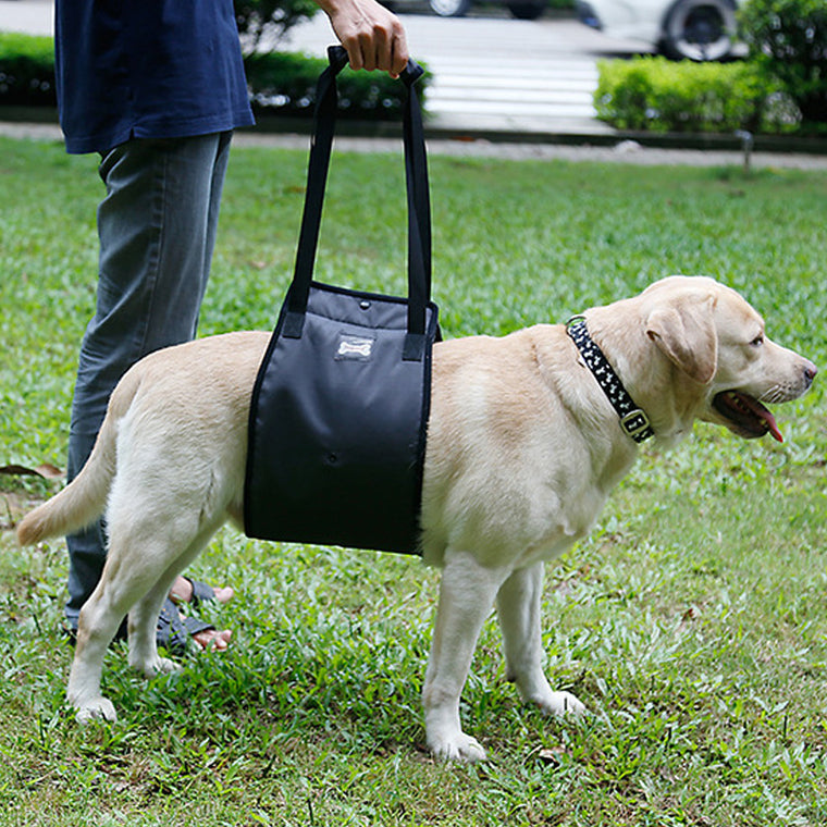 Dog Lift Harness Injury Pet Dog Walking Aid Support Blue Black