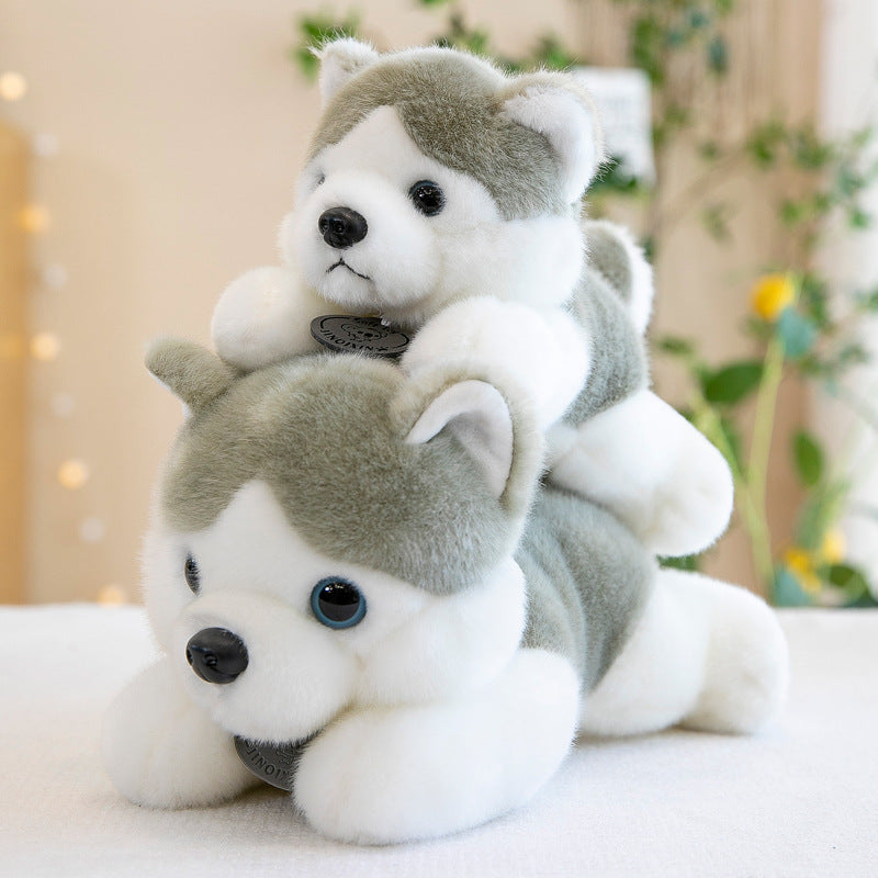 Super Soft Cute Siberian Husky Plush Toy Three sizes 23cm 28cm 35cm