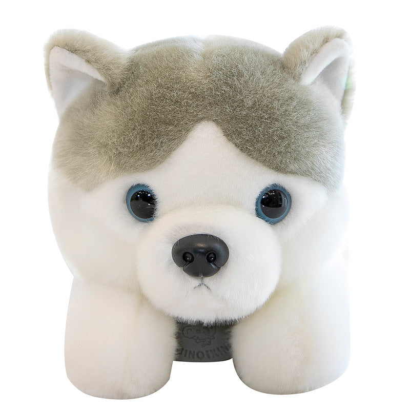 Super Soft Cute Siberian Husky Plush Toy Three sizes 23cm 28cm 35cm