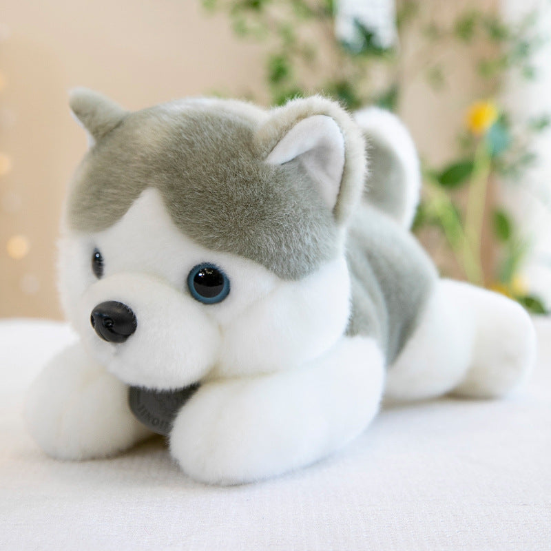Super Soft Cute Siberian Husky Plush Toy Three sizes 23cm 28cm 35cm