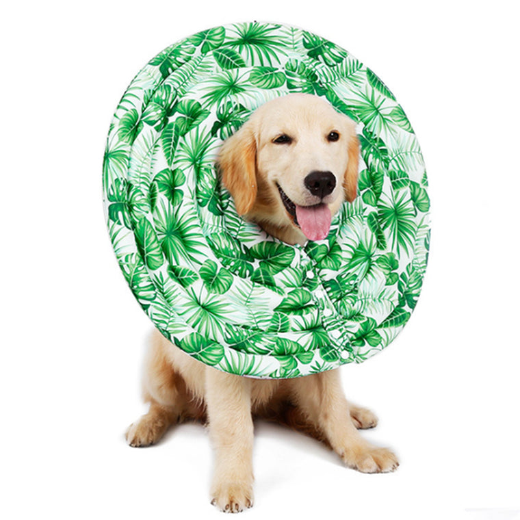 Pet Dog Elizabethan Neck Collar Strap Green-M L XL