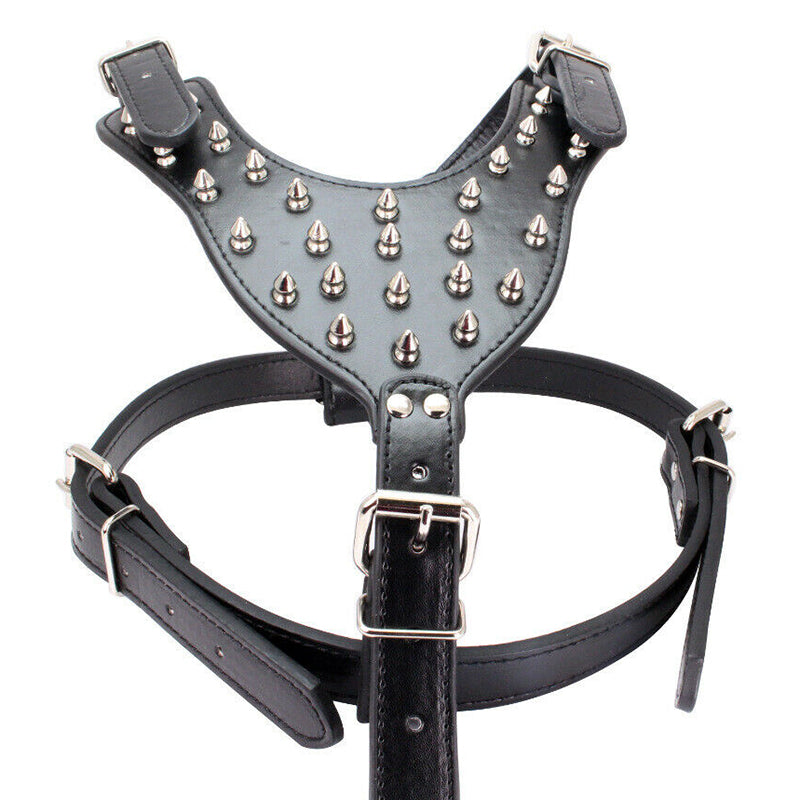 Leather Dog Harness Plain Black Spiked and Studded Dog Collar Harness