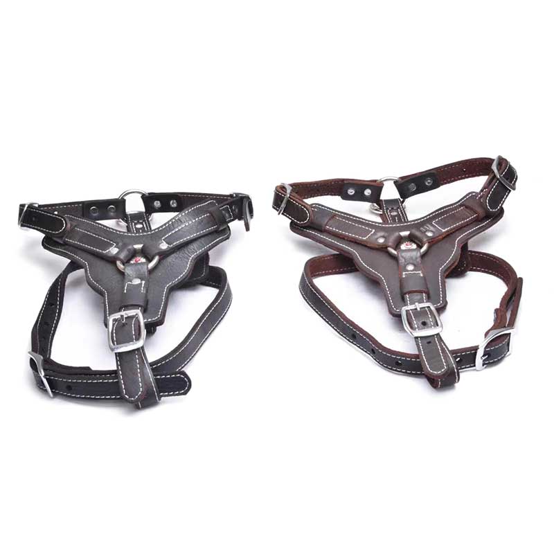 Top Quality Genuine Leather Large Breed Dog Harness Brown