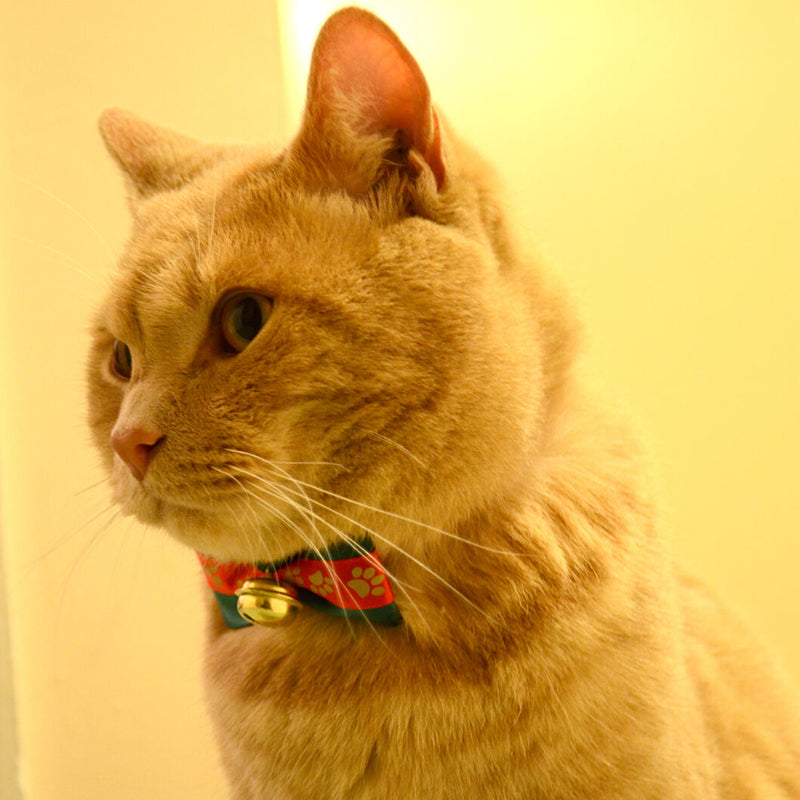2 x Dog Cat Pet Christmas BowTie adjustable Necktie Collar Handmade Christmas Bell