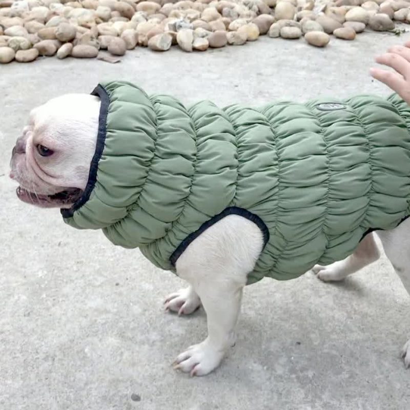 Pet Dog Winter Warm Vest Coat Jacket Reflective Green Blue