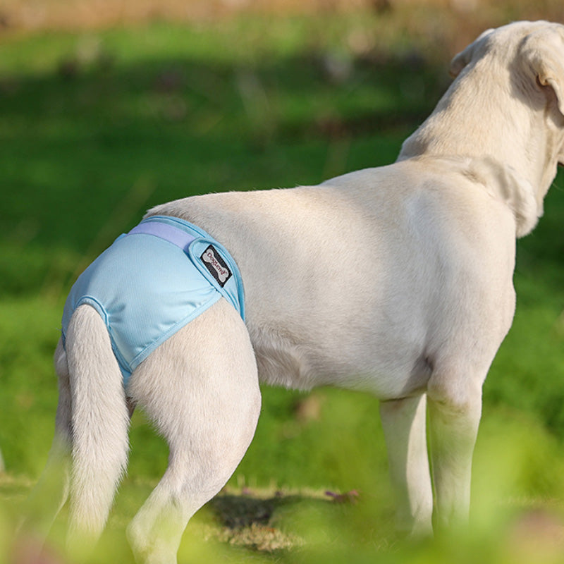 Female Sanitary Dog Nappy Graphene Underpants Diaper Pants Blue