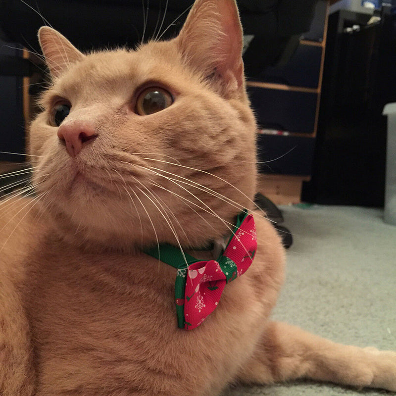 2 x Christmas Dog Cat Pet Bow Tie adjustable Necktie Collar Bowtie Christmas Pattern