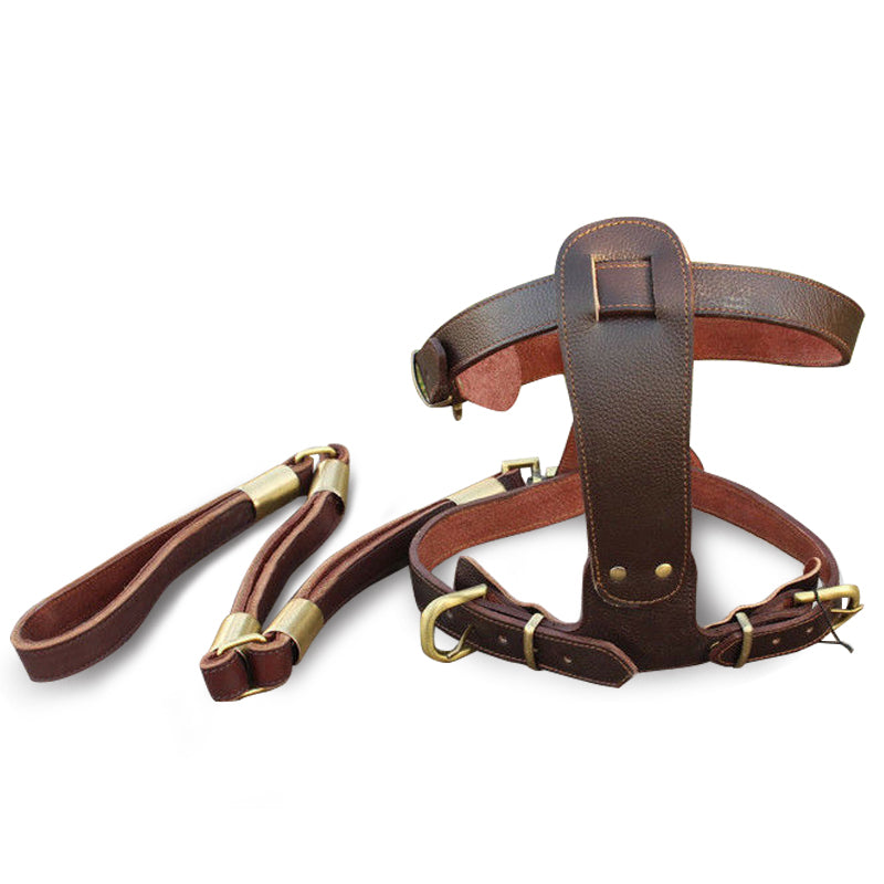 New Genuine Ox Leather Large Breed Dog Harness Set Harness & Leash