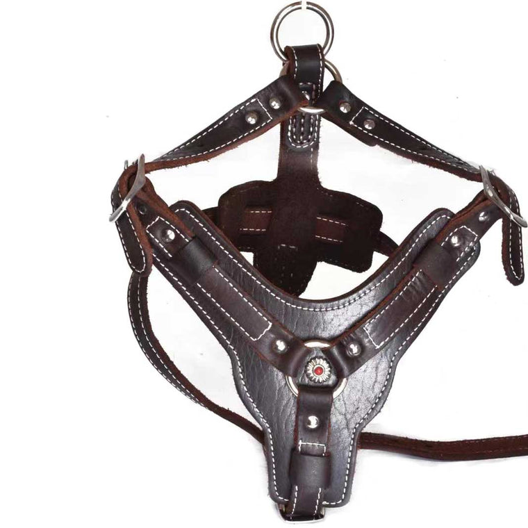 Top Quality Genuine Leather Large Breed Dog Harness Brown