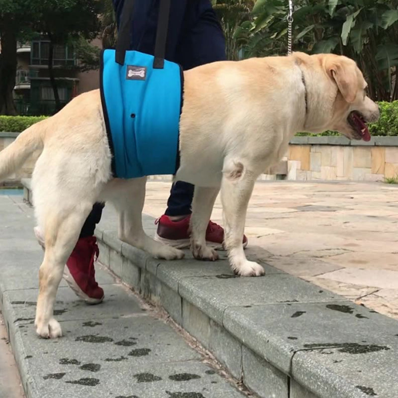 Dog Lift Harness Injury Pet Dog Walking Aid Support Blue