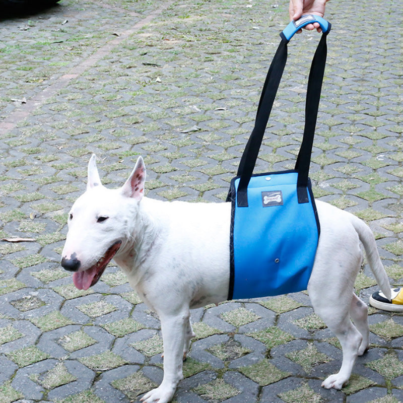 Dog Lift Harness Injury Pet Dog Walking Aid Support Blue