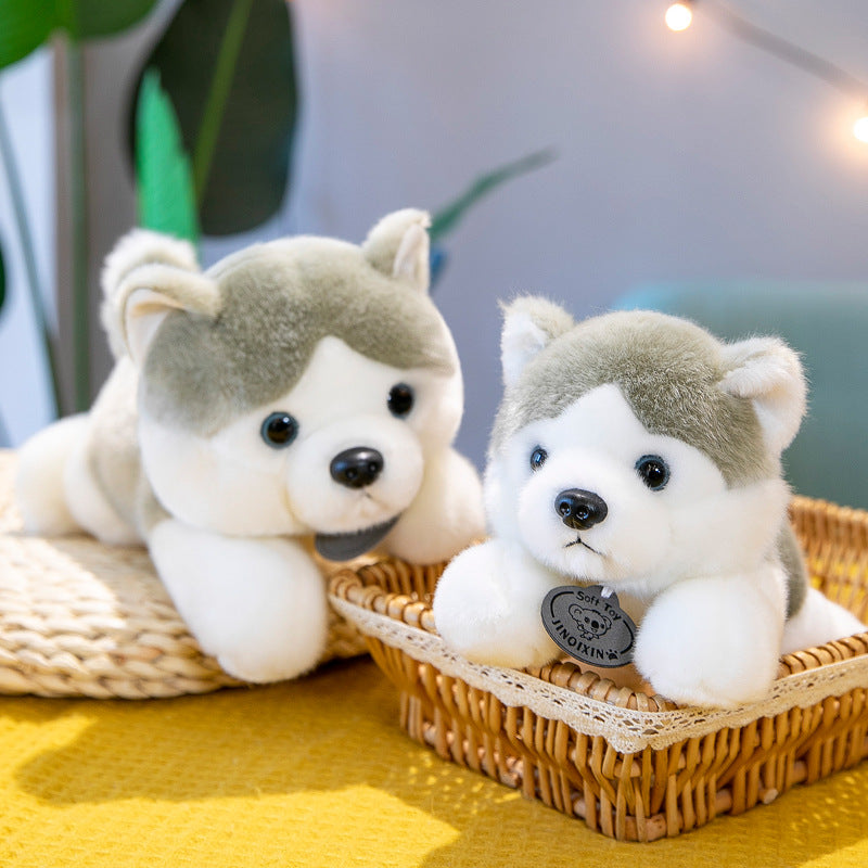 Super Soft Cute Siberian Husky Plush Toy Three sizes 23cm 28cm 35cm