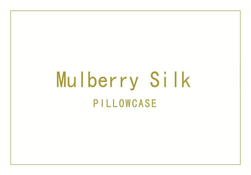 6A Grade Pure Mulberry Silk Pillowcase 48x74cm Beige