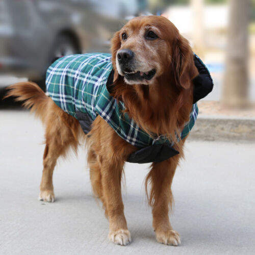 Pet Dog Warm Vest Coat Jacket Reflective Fleece Green Plaid